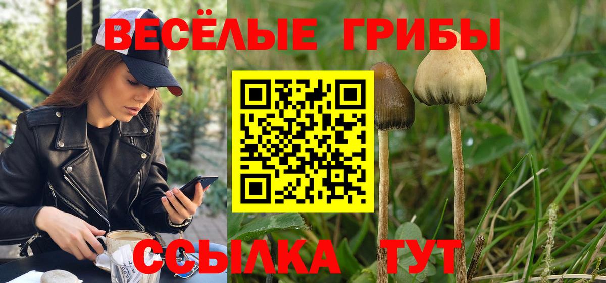 Псилоцибиновые грибы ЛСД Петрозаводск