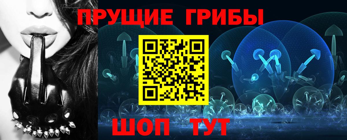 Петрозаводск  Псилоцибиновые грибы MAGIC MUSHROOMS  Псилоцибиновые грибы мухоморы  Вход с VPN 